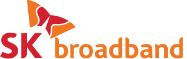 SK broadband